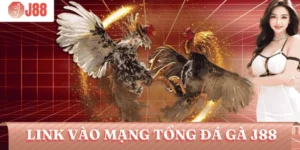 link-vao-mang-tong-da-ga-j88