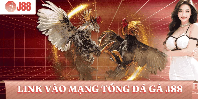 link-vao-mang-tong-da-ga-j88