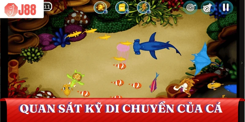 meo-ban-ca-online-quan-sat-di-chuyen