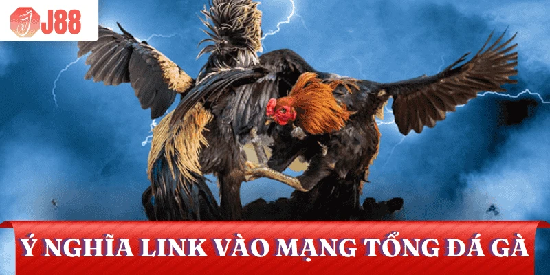 y-nghia-link-vao-mang-tong-da-ga