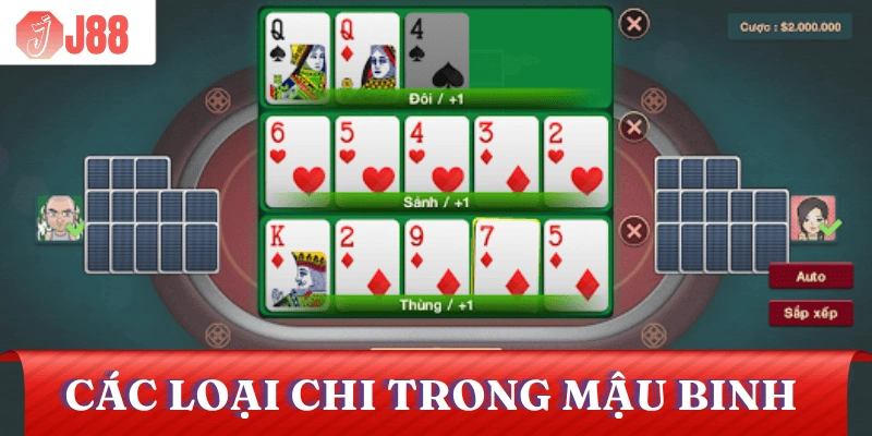 cac-loai-chi-trong-mau-binh