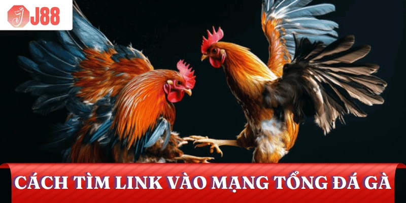cach-tim-link-vao-mang-tong-da-ga-j88