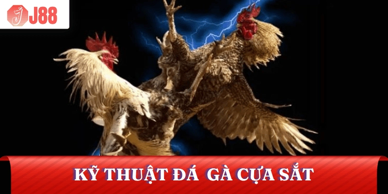 da-ga-cua-sat-ky-thuat-chien-luoc