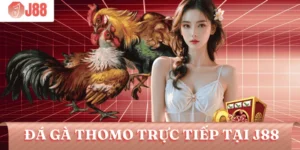 da-ga-thomo-truc-tiep