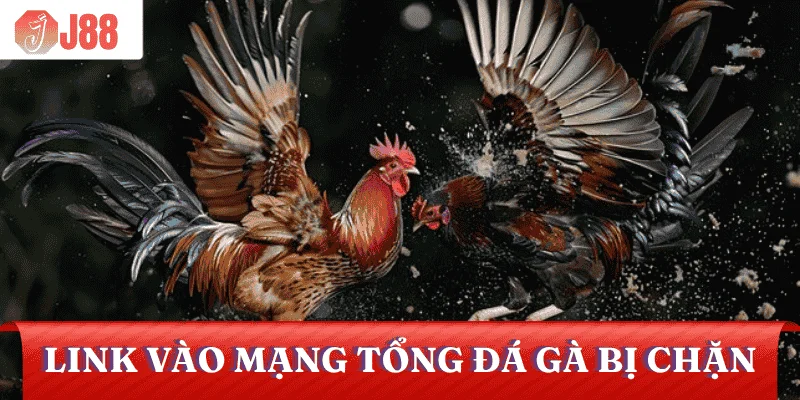 nguyen-nhan-link-vao-mang-tong-da-ga-bi-chan