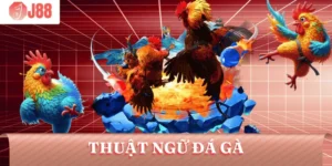 thuat-ngu-da-ga