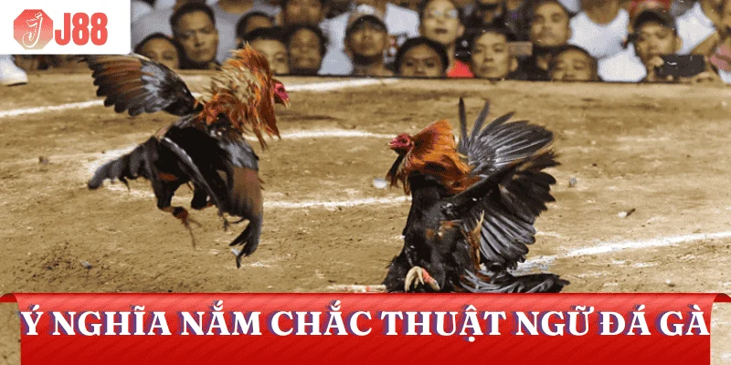 thuat-ngu-da-ga-tam-quan-trong