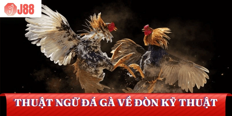 thuat-ngu-da-ga-ve-don-danh