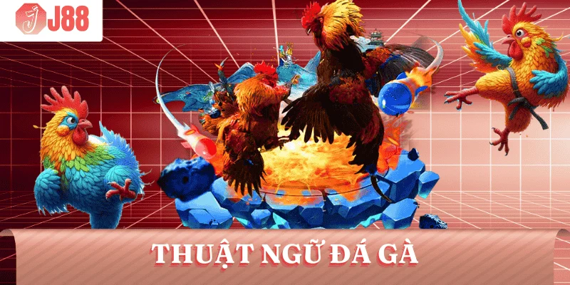 thuat-ngu-da-ga